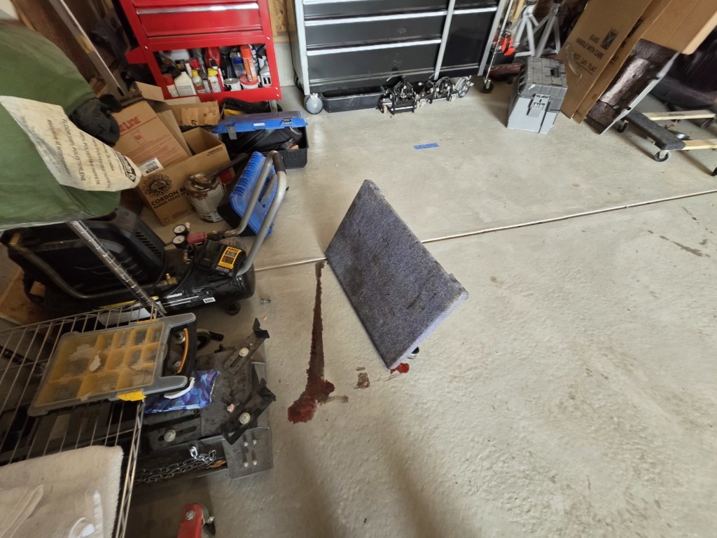 20250829_143813.jpg