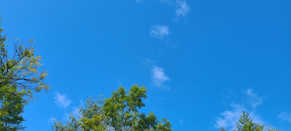 20250906_100036.jpg