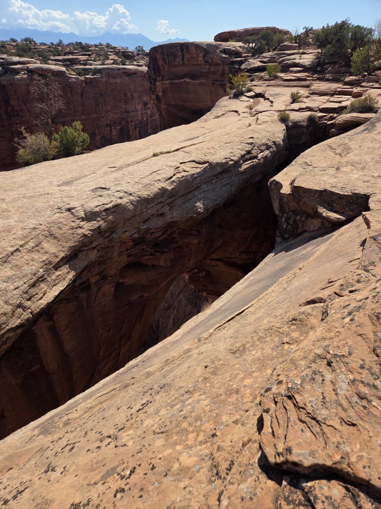 20250907_111436.jpg