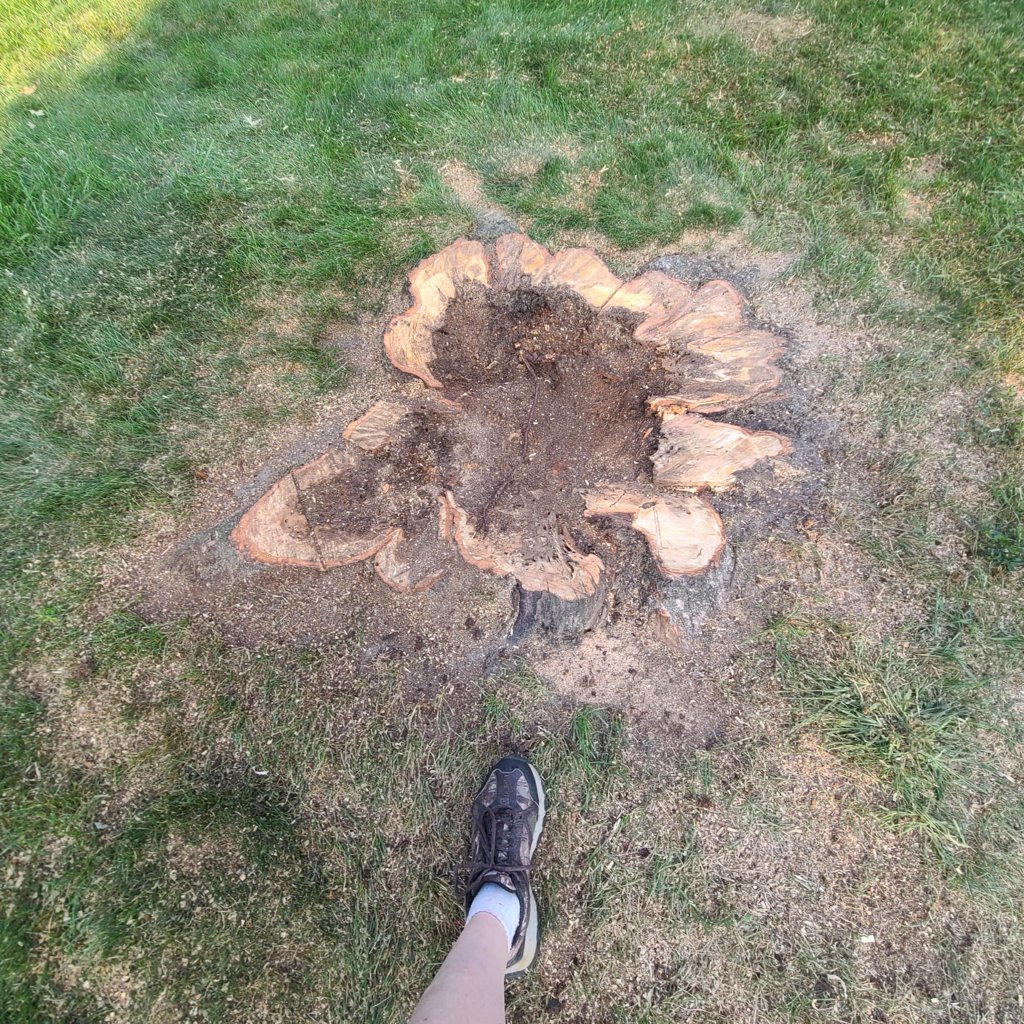 20250908_182158.jpg