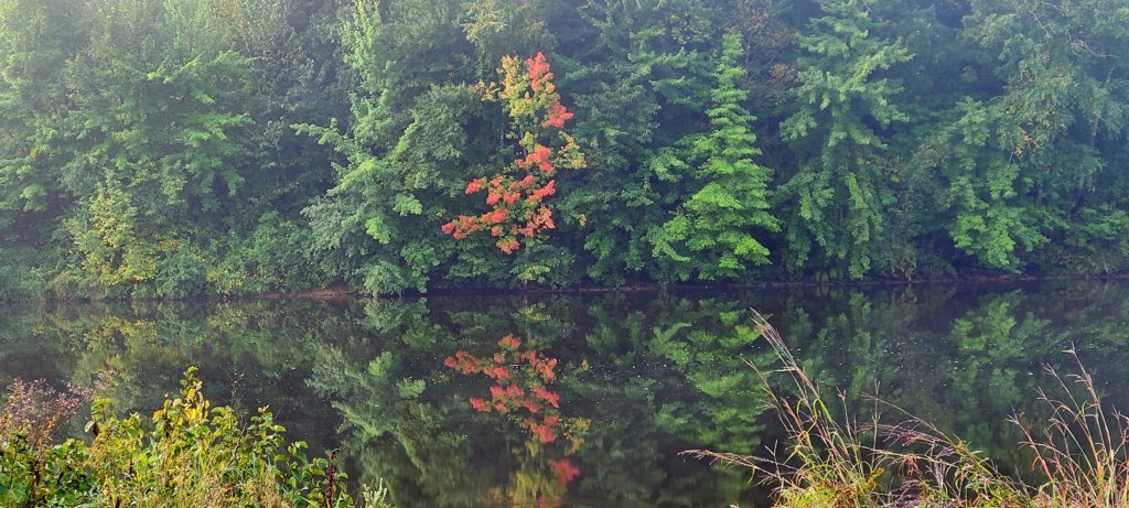 20250910_074128.jpg