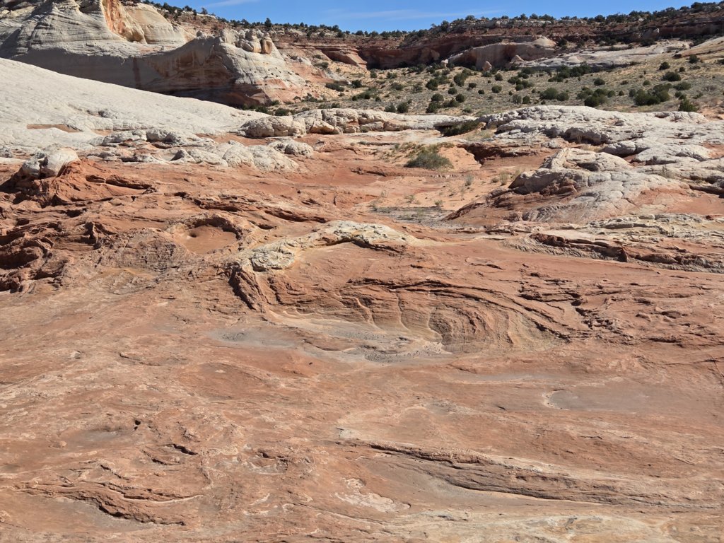 20250912_105058.jpg