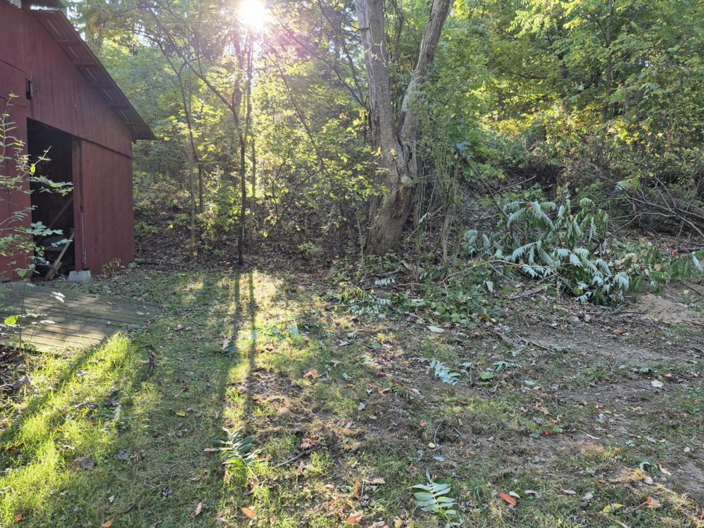 20250912_170821.jpg