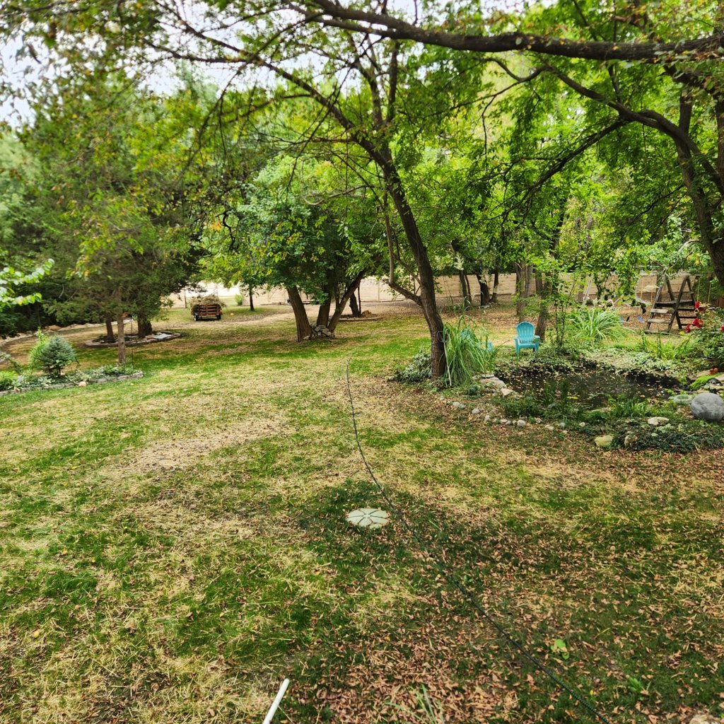 20250914_153300.jpg