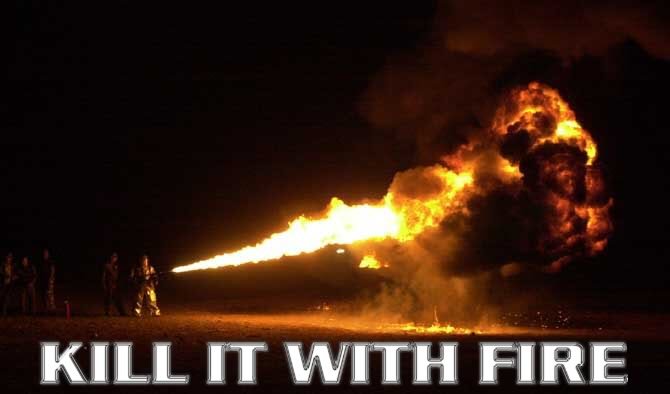 2029-kill-it-with-fire-1_5d8ebc16b7bdb382d698d7215c500f08f7b87261.jpg