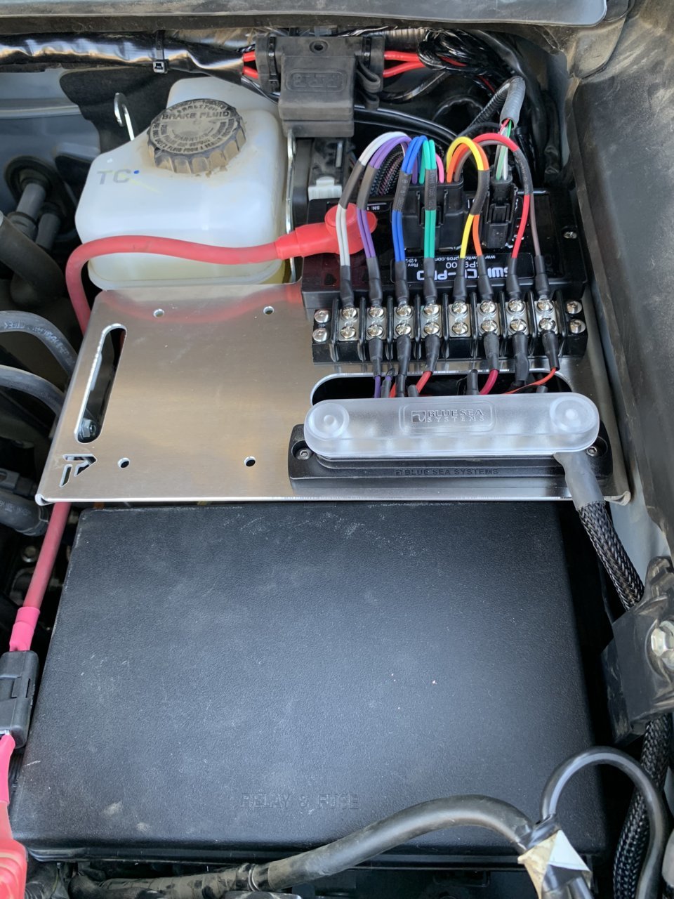 2040B168-39DA-4E20-9B12-703A61CAB02B.jpg