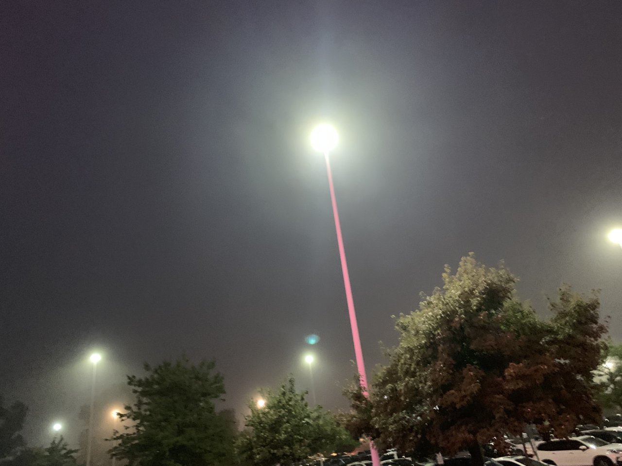 20461519-92E2-4F20-AC19-0C288DB7B095.jpg