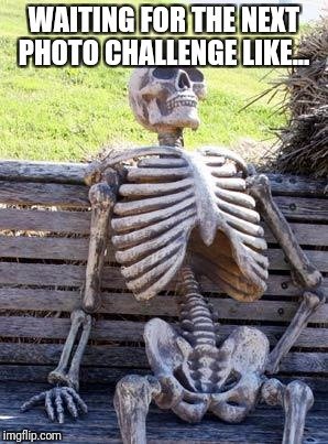 20c0xv.jpg