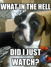 20fbbaef53f6d0f0e7de5e154db36bdd13ac1fe4.gif