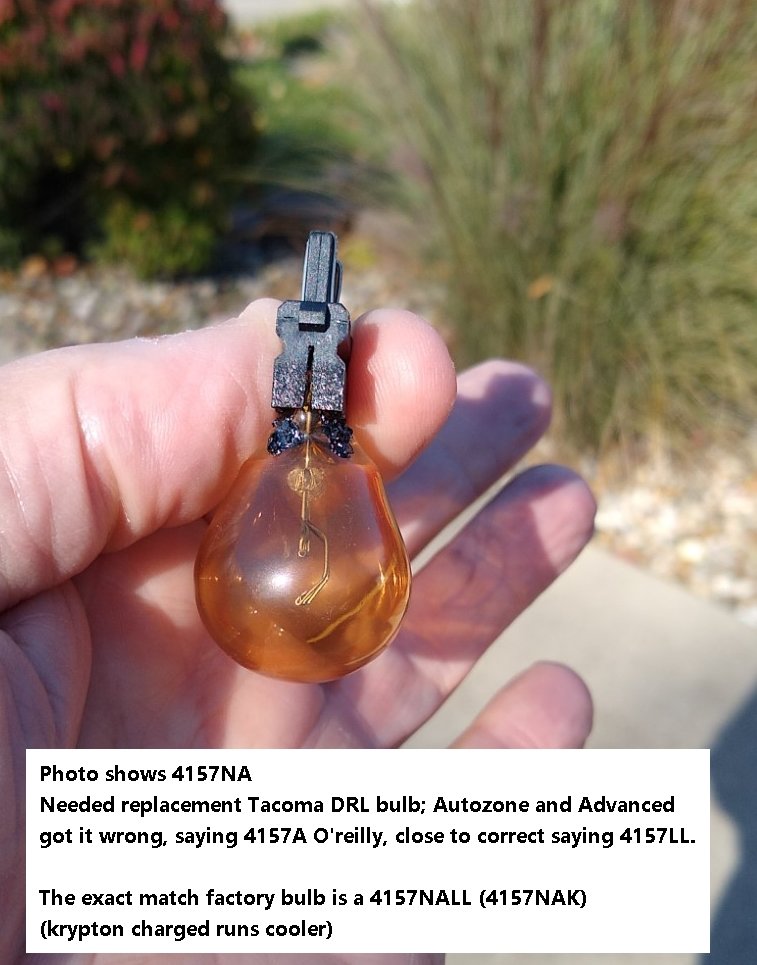 211106 Wrong Bulb.jpg