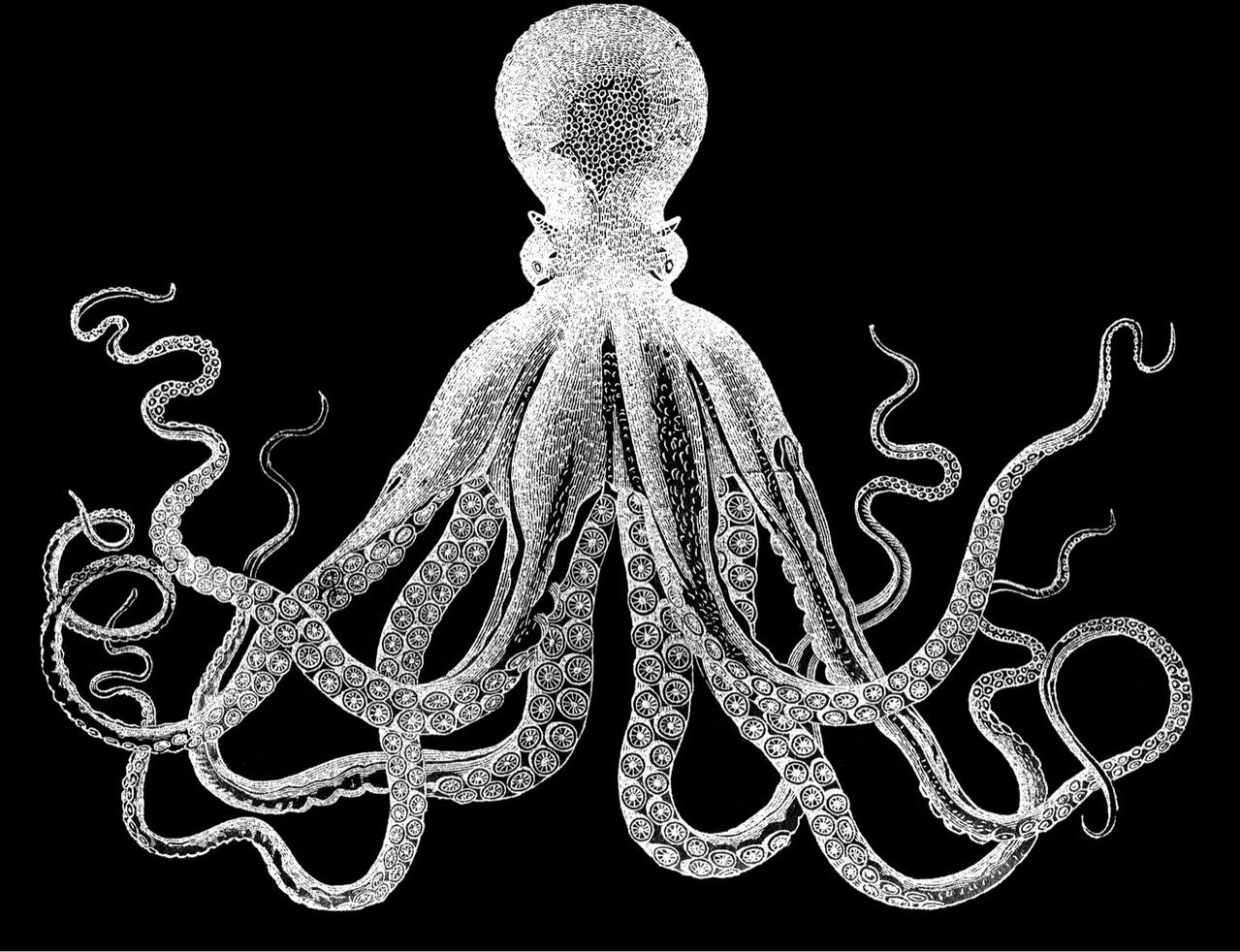 2116e56793a67bfd421fe33c68f55b2d_30d5c1504329afe946df7593af5c783ed42728a3.jpg