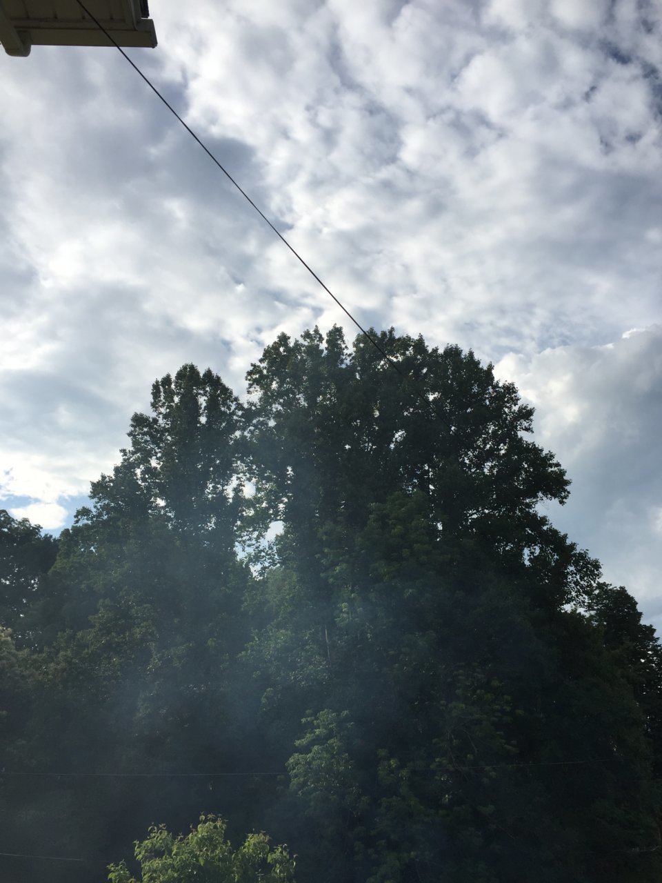 2140C0C9-C56D-44F5-B62A-D41EA0E58408.jpg