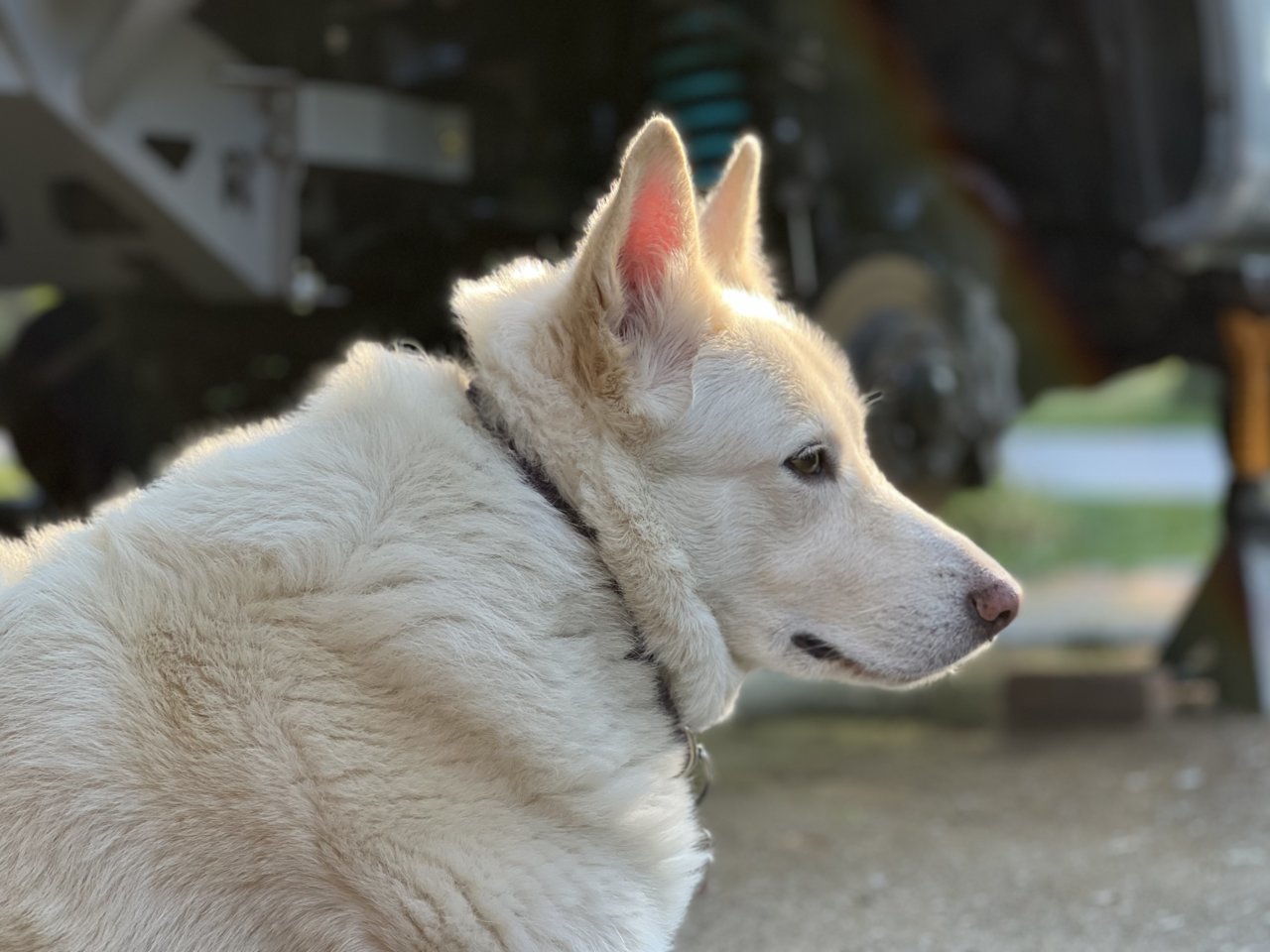 214F8FCB-F17B-4875-9B9B-FBBEDFCB83C3.jpg