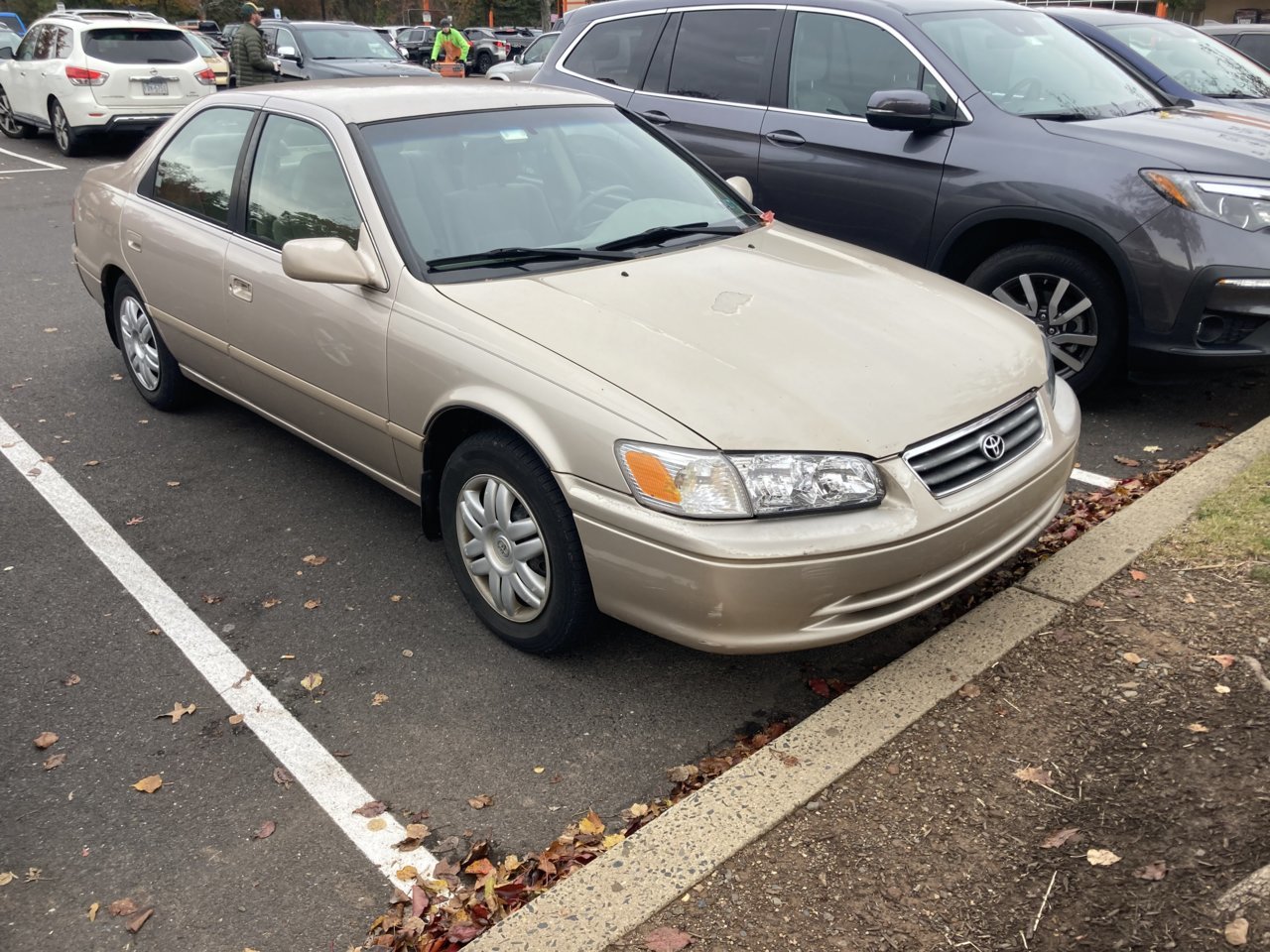 2181ABFF-150E-4A58-9118-DB0E87D51D15.jpg