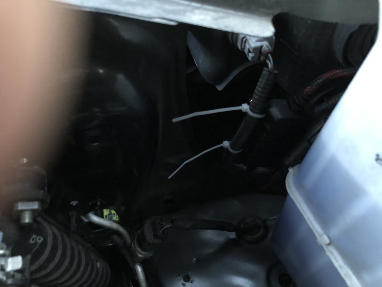 2193DF09-4E11-4E56-88FB-DBADB0F8B620.jpg