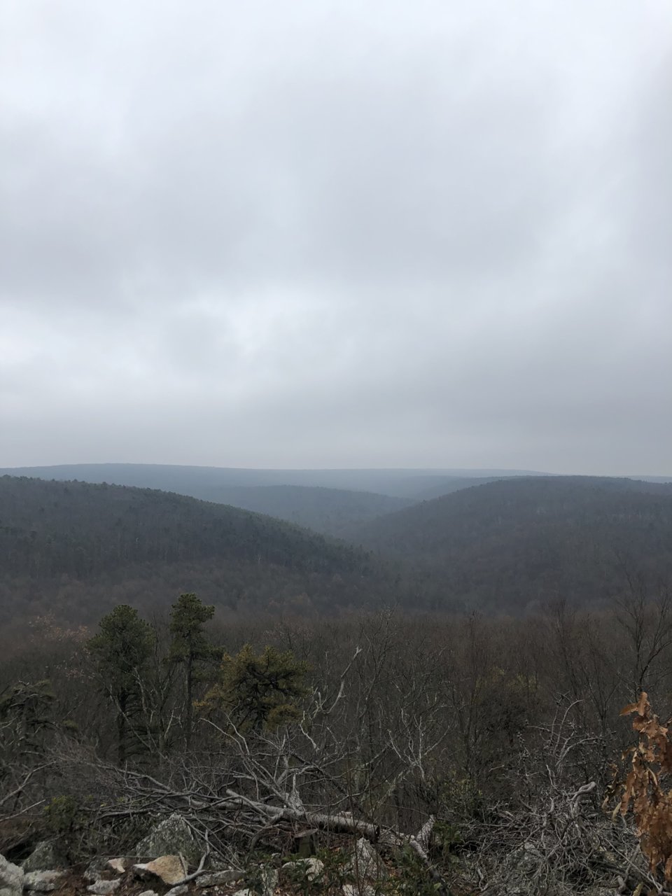 21A8D468-6C1E-4C22-97D0-F10AEE47A4A4.jpg
