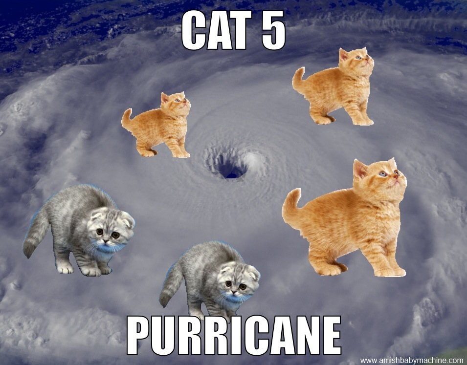 21BE52C9-CB7B-470E-BF38-F28A94FB7E6E.jpg