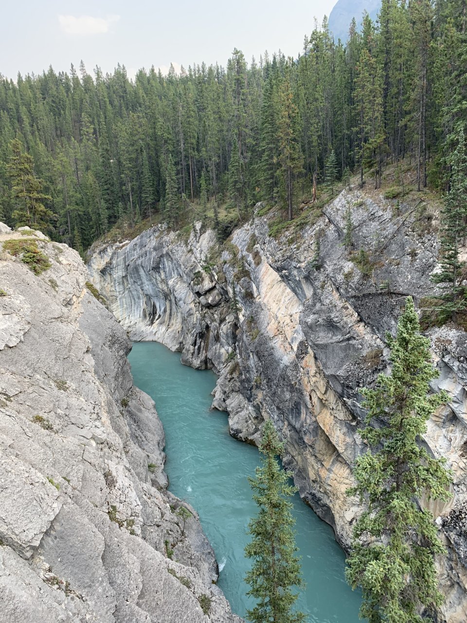 21BF7E9B-4AC2-49CD-86AA-FD45575408F0.jpg