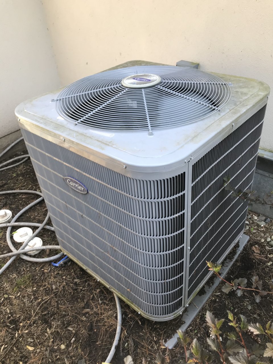21DD86F6-273D-4AF5-BE09-4090010C08DA.jpg
