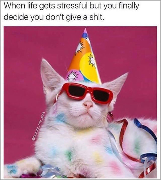 2209700.jpg.jpg