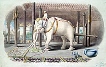 220px-Lord_White_Elephant.jpg