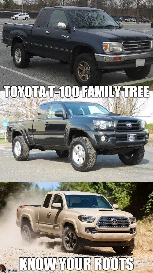 220vya.jpg