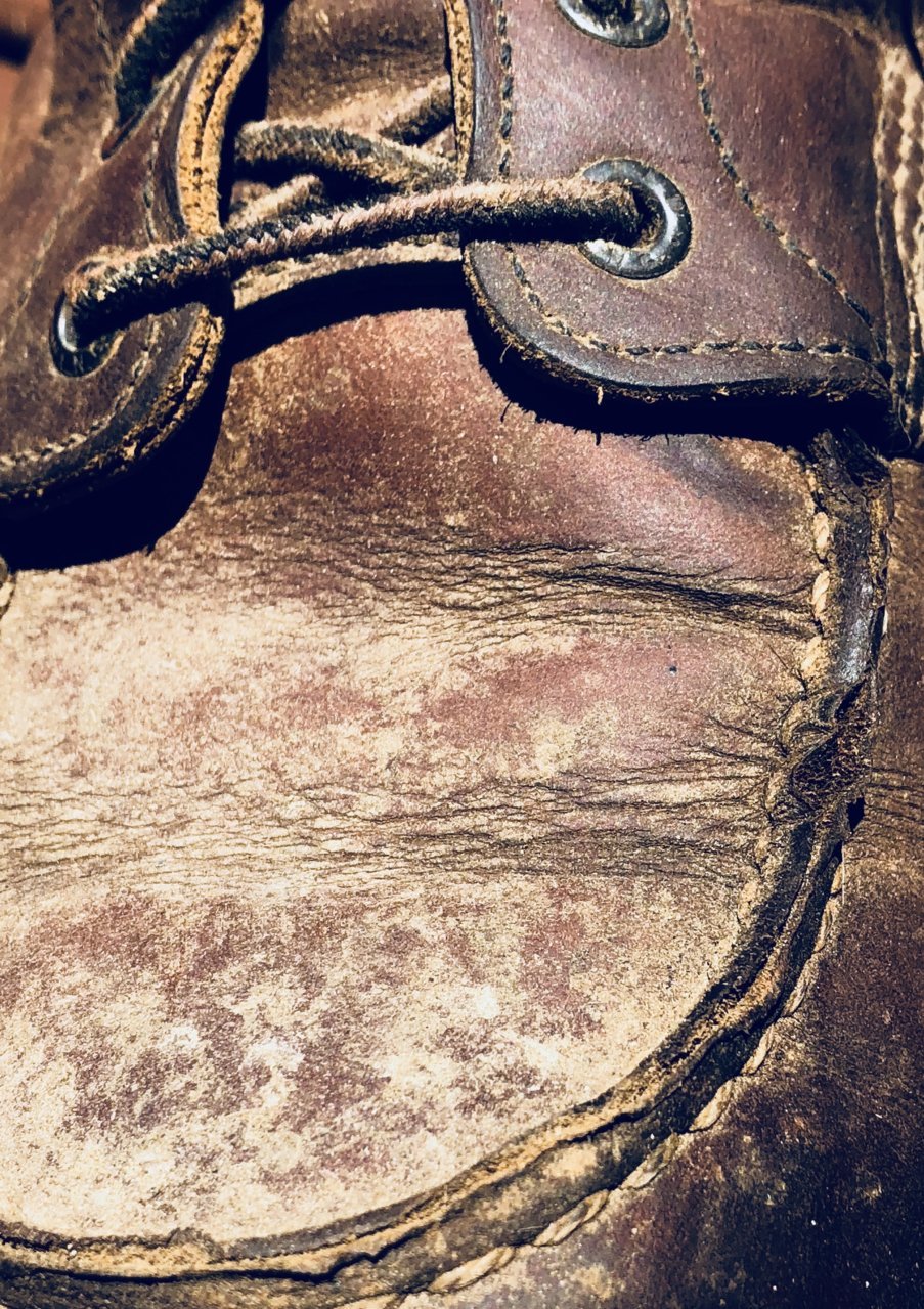 2212822A-8F0A-4FA3-86A8-DF37B3CC1AF3.jpg