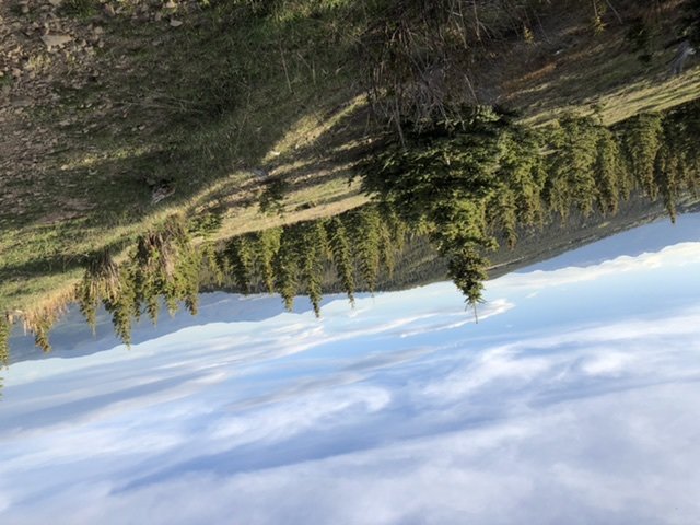 22B6FA44-1CE4-470D-A0B4-9A0F1ADF0F20.jpg