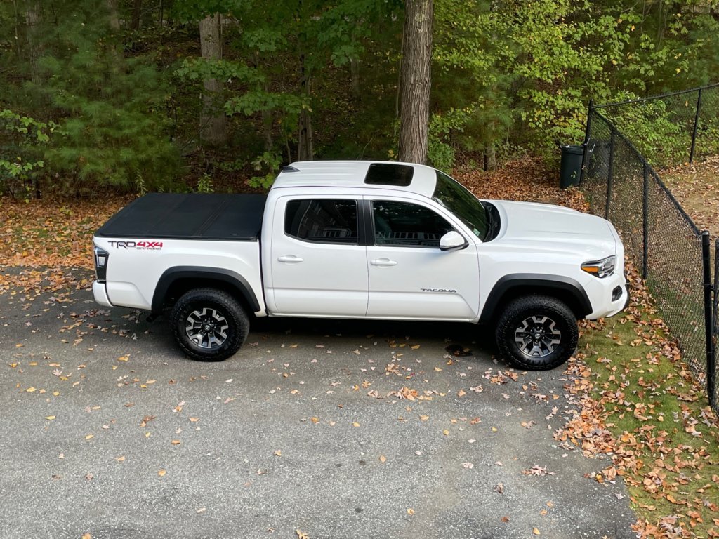 23 Taco.jpg