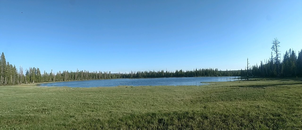 23185.jpg