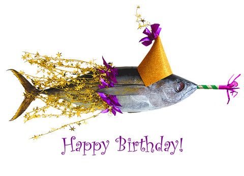 235540d1460723911-happy-birthday-happy-birthday-fish-celebrating-birthday-wb0160.jpg