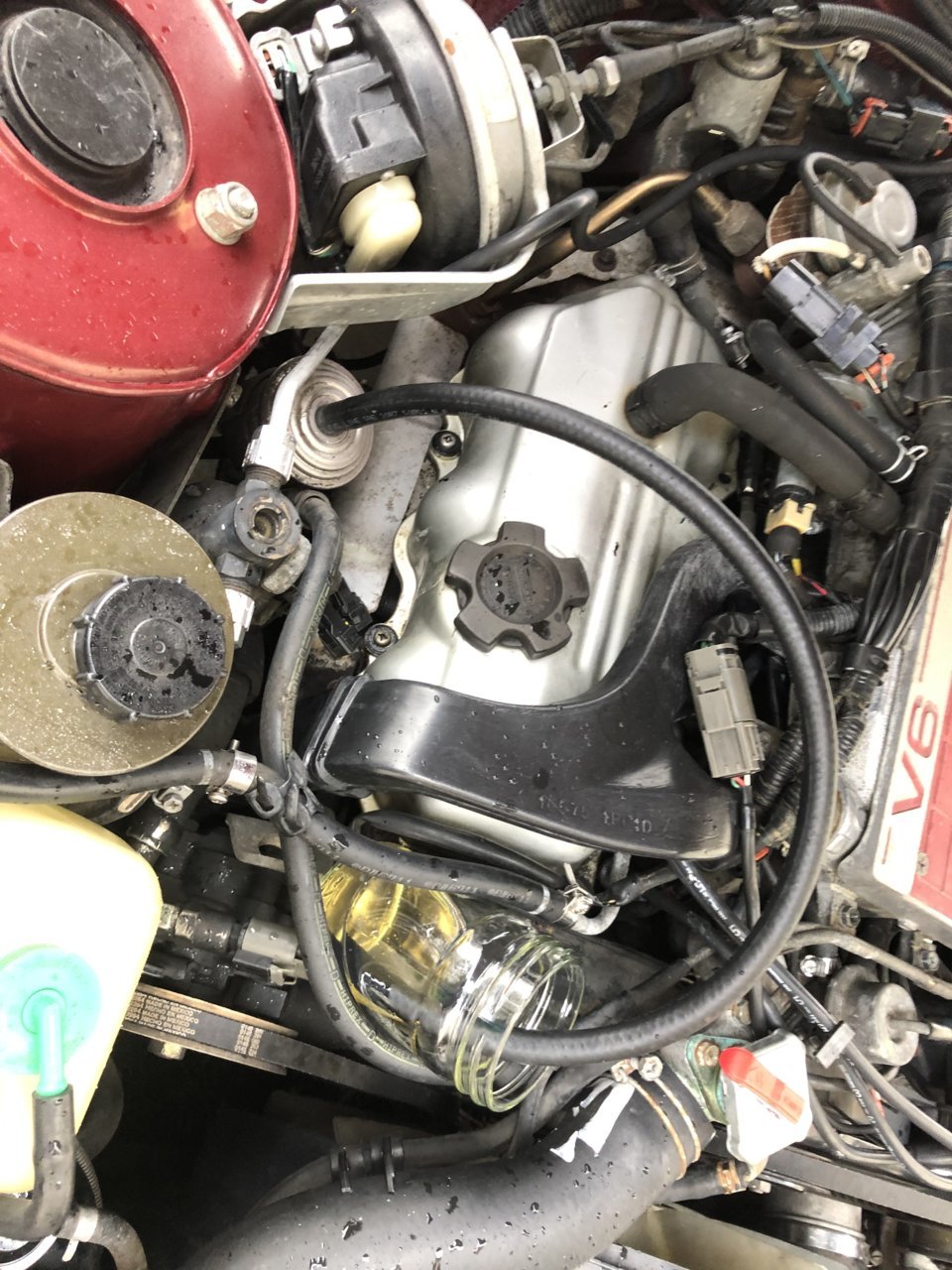 235BB8F0-3528-4AAC-9970-4C6370CC5F94.jpg