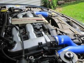 23662854012[1].jpg