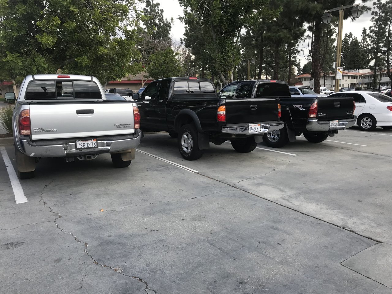 238BCDCD-3EB9-4AE8-AF8D-6DA841073151.jpg