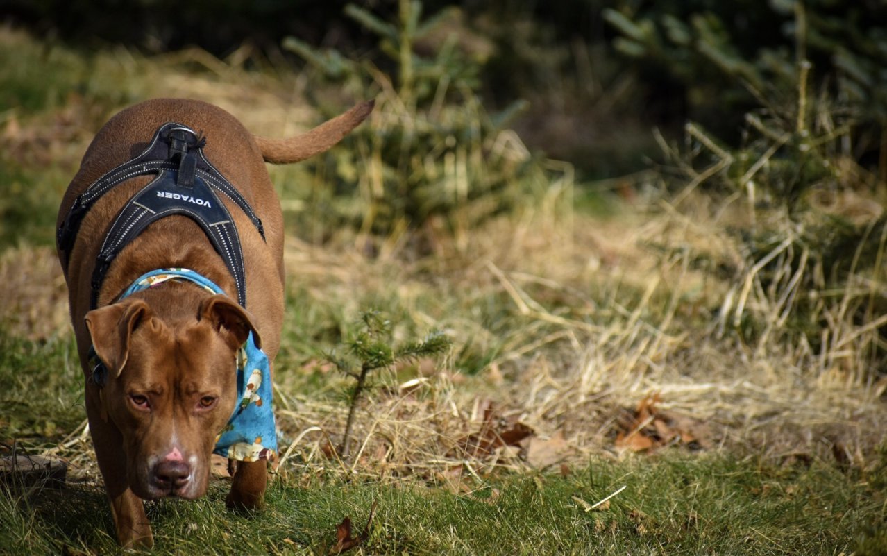 239076D7-C1F7-43AA-8F70-7553DC5AAC4E.jpg