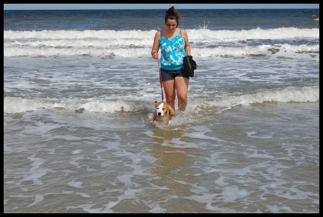 23j0sx0_25754f5a48de4c8688948f1bb0c4629d059ecd3b.jpg