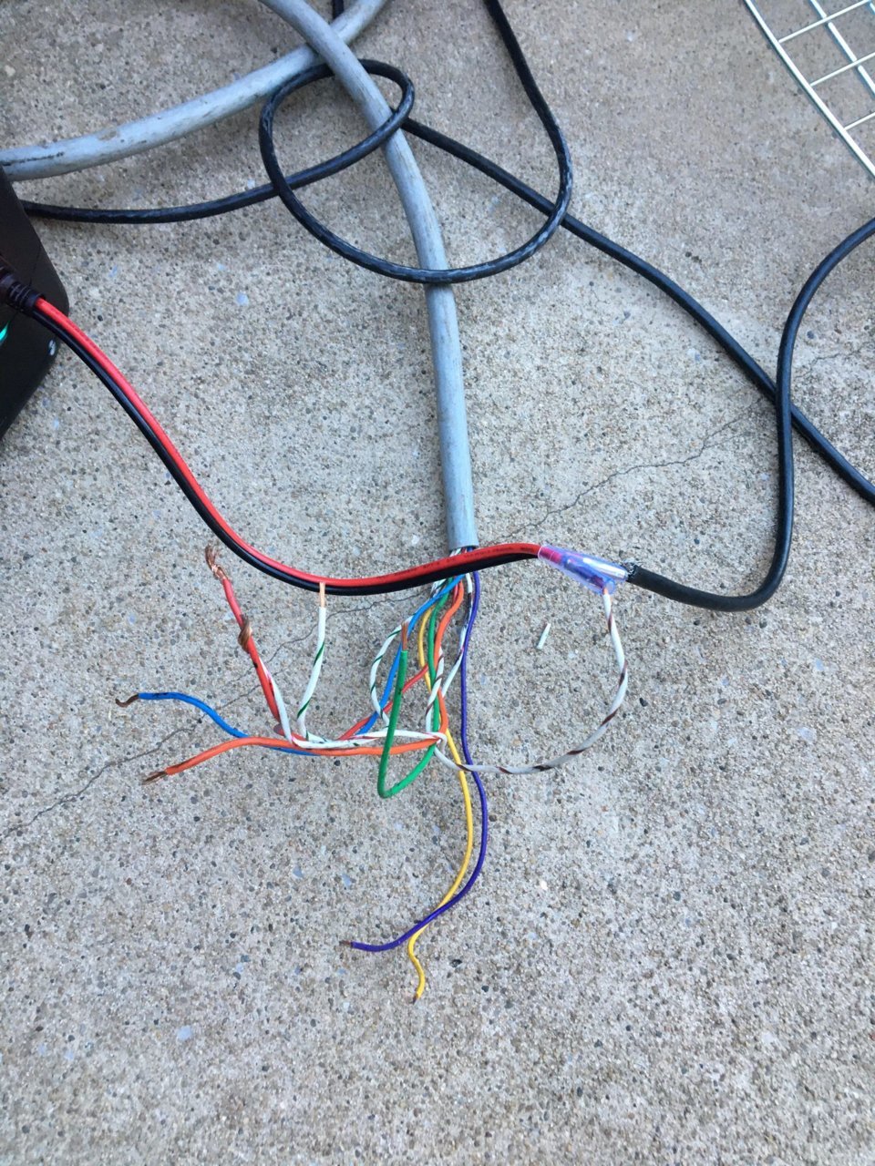 241564330_436376121106415_6797924568096708768_n.jpg