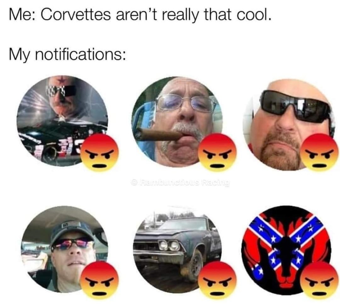 242636435_387509112841098_4517282154033012312_n.jpg