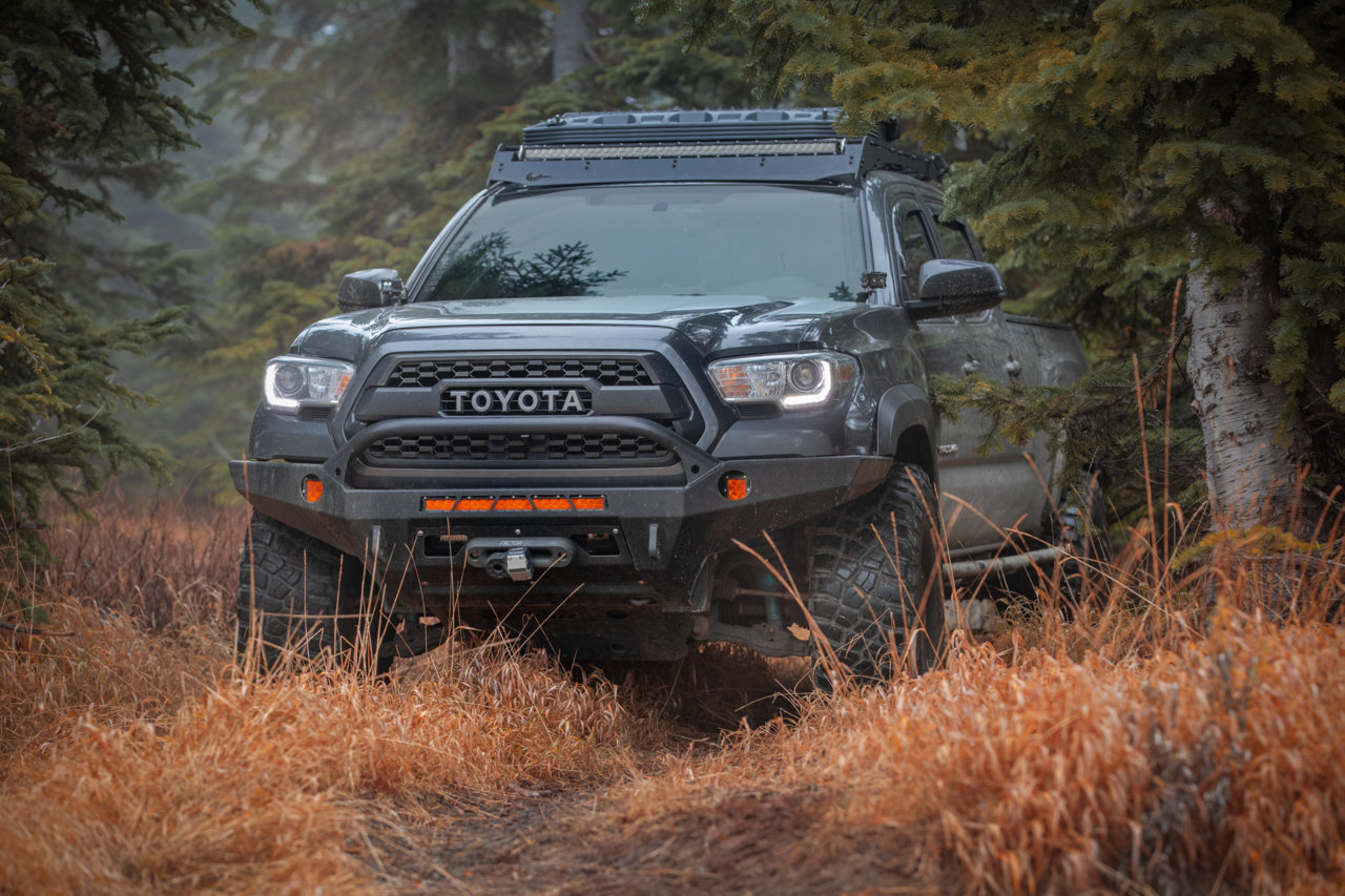 243A1129-Edit.jpg