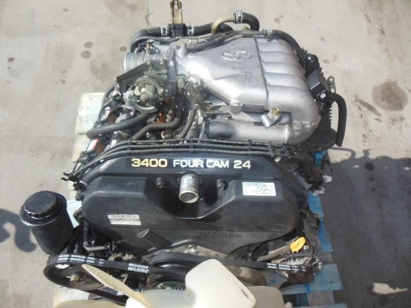 244-181.jpg