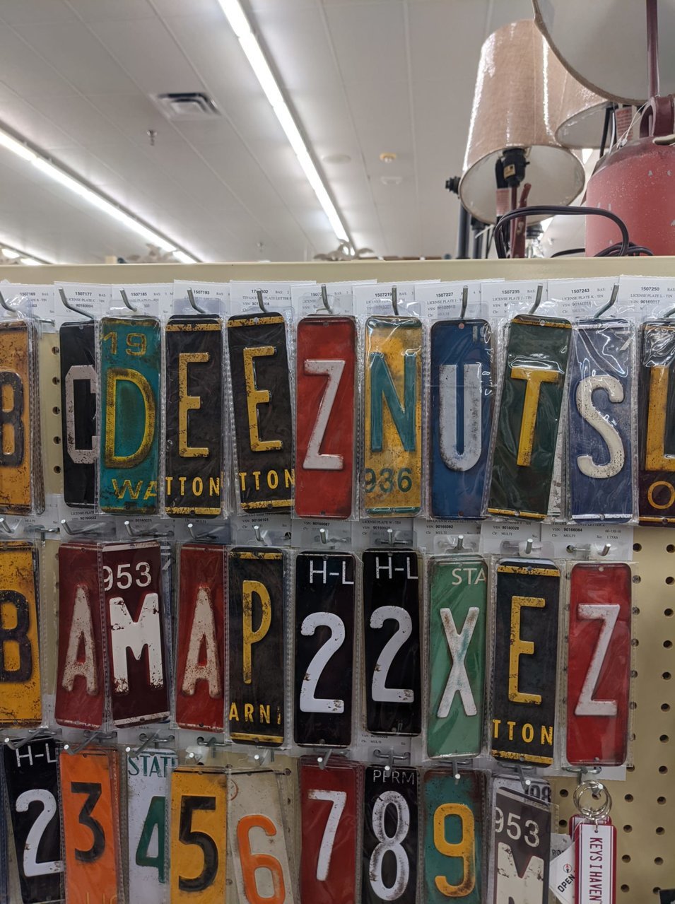 245041200_10225973127785612_2791029014414593165_n.jpg