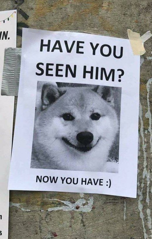 24824463_1513130378801415_1765782642_n_27208b26be0c9e3f7f36eec165281f5642729167.jpg
