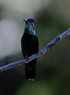 24F47372-0650-436E-8DA7-5B2D4E35CDB8.jpg