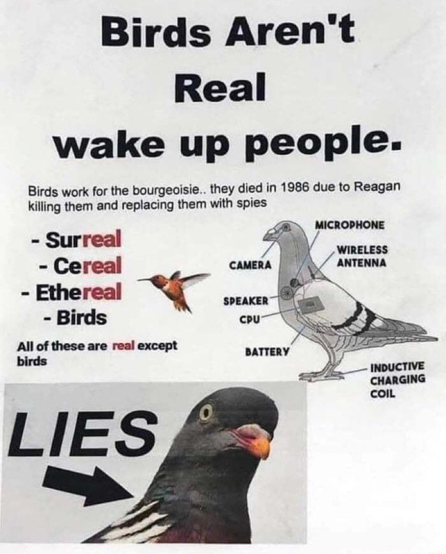 24FB006B-13B0-4585-B634-B4C9C8D2A16D.jpg