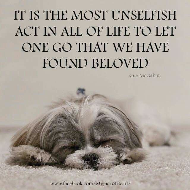 25-best-ideas-about-pet-loss-on-pinterest-dog-.jpg