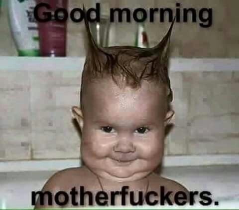 25174f4eb3a4263ebb07ea53b895bb59.jpg