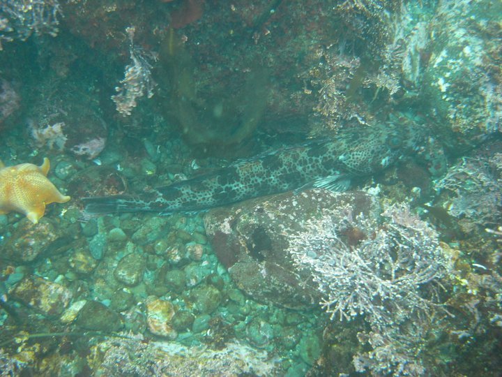 %255BUNSET%255D_0b50530ea440ab7c0516c5e28c9b0f2ad4cc7d84.jpg