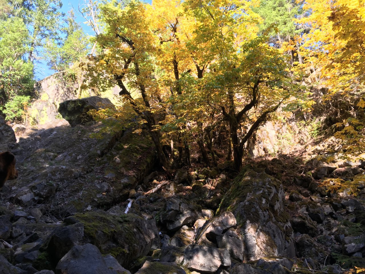 260230D9-0766-46A0-A00A-7E79DB33D3B1.jpg