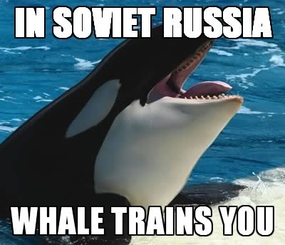 265977_2e5d5c1a81b17b186f1b8b77e6de763c6dea934d.jpg