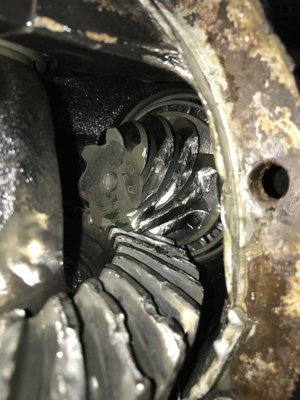 265AC7F4-44A3-4FE4-ACF4-394DA88281A3.jpg